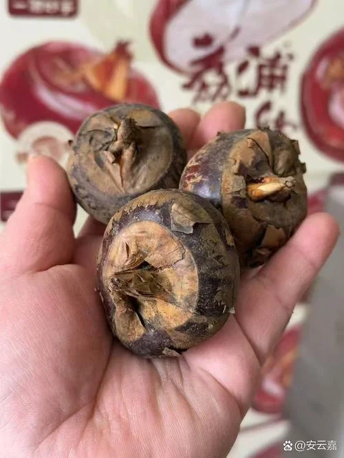 荸荠又叫什么-荸荠别名马蹄
