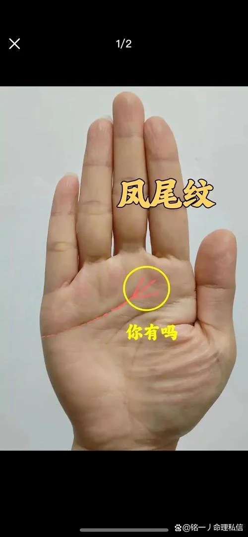 暴发型手相_2