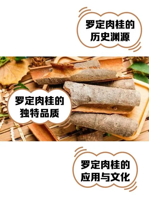 肉桂的介绍-肉桂简介