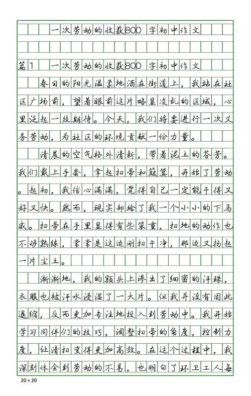劳动感悟作文_2