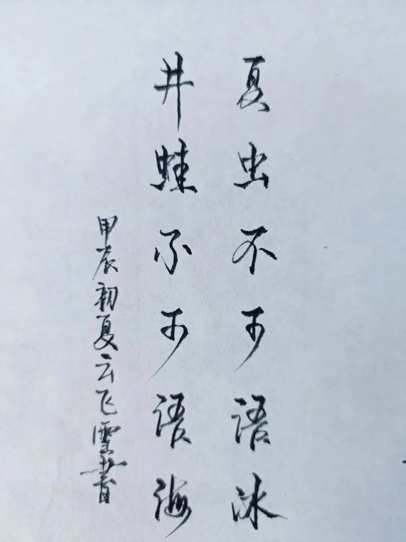 夏虫不可语于冰者出处_1