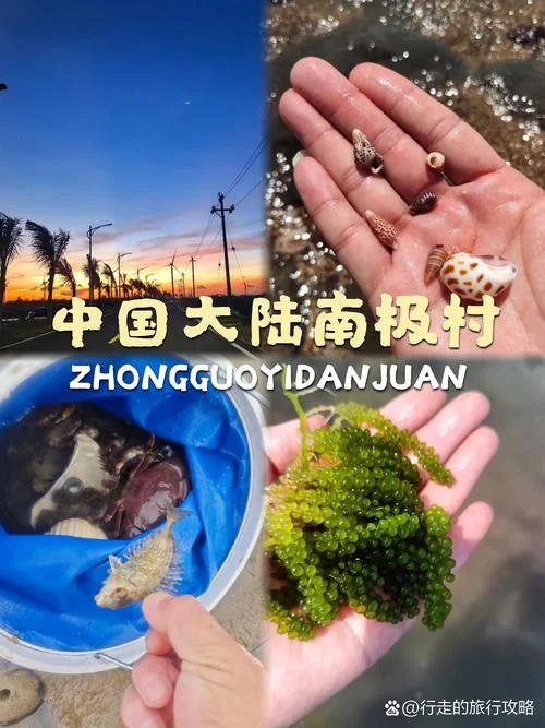 南极村旅游攻略_1
