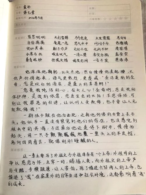 读书笔记摘抄感悟童年_1