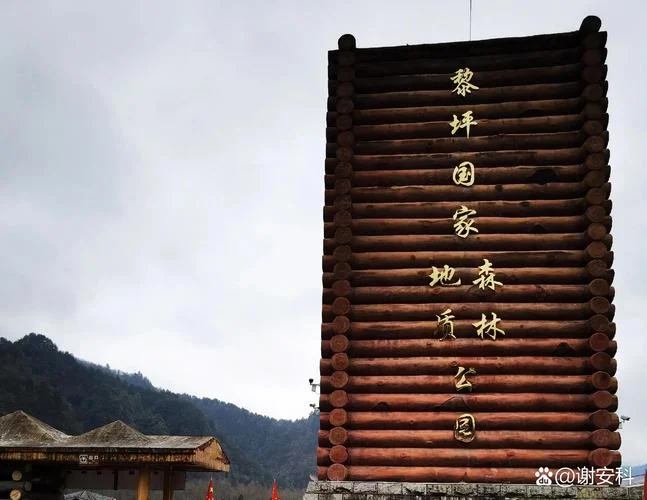 黎坪森林公园旅游攻略_2