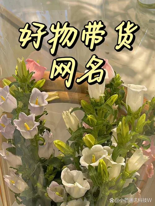 网络科技公司好物分享_1