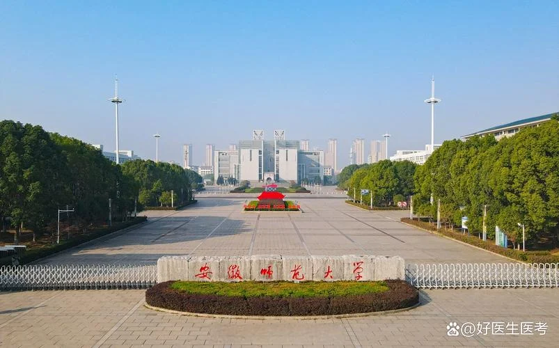 安师大研究生考研-安师大考研