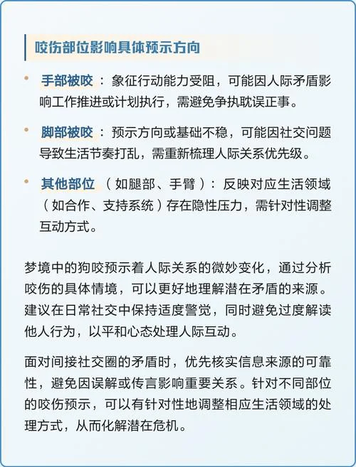 梦见被人放狗咬_1
