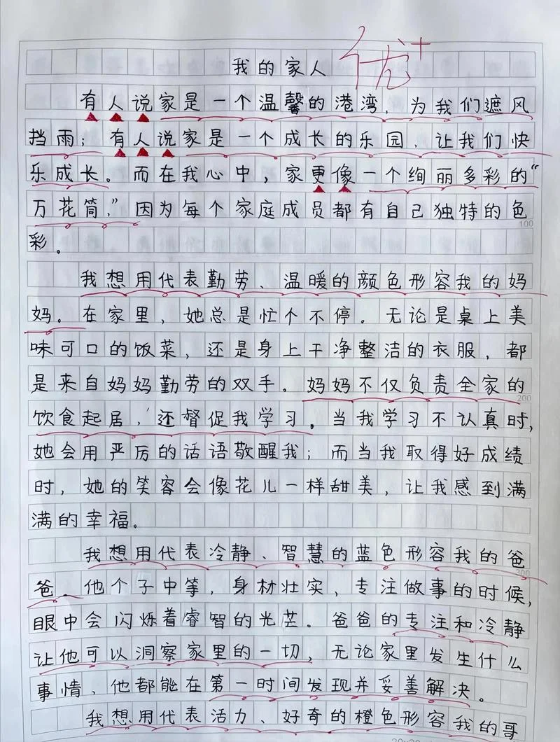 小学生满分作文篇_2