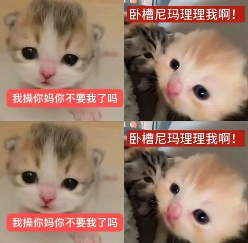 人生啊表情包出处_1
