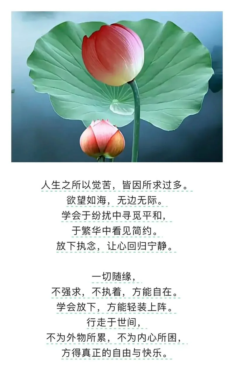 禅语感悟人生的句子经典_2