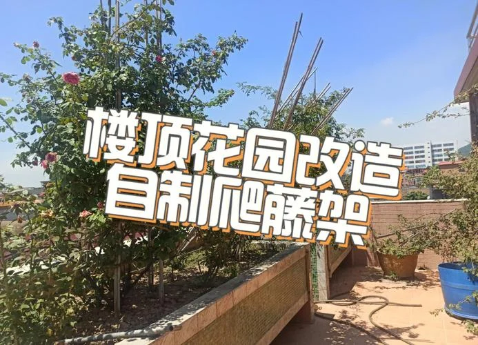 屋面花架什么意思_2