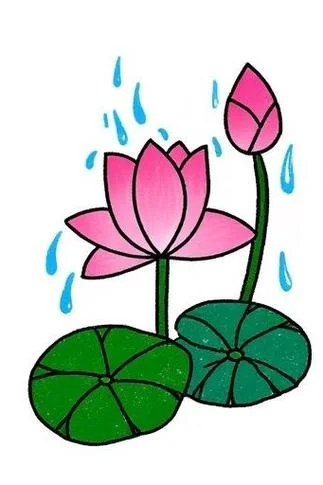 荷花简笔画大全颜色_1