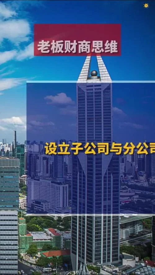 什么情况成立子公司_1