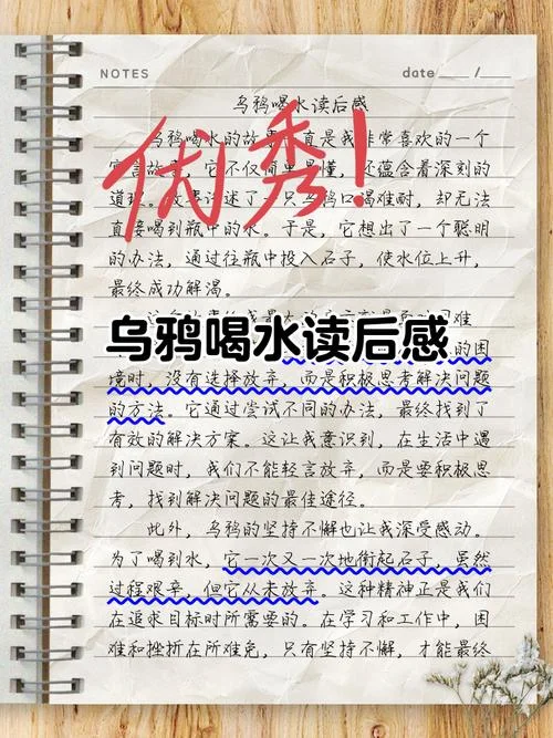 饮水集的人生感悟_1