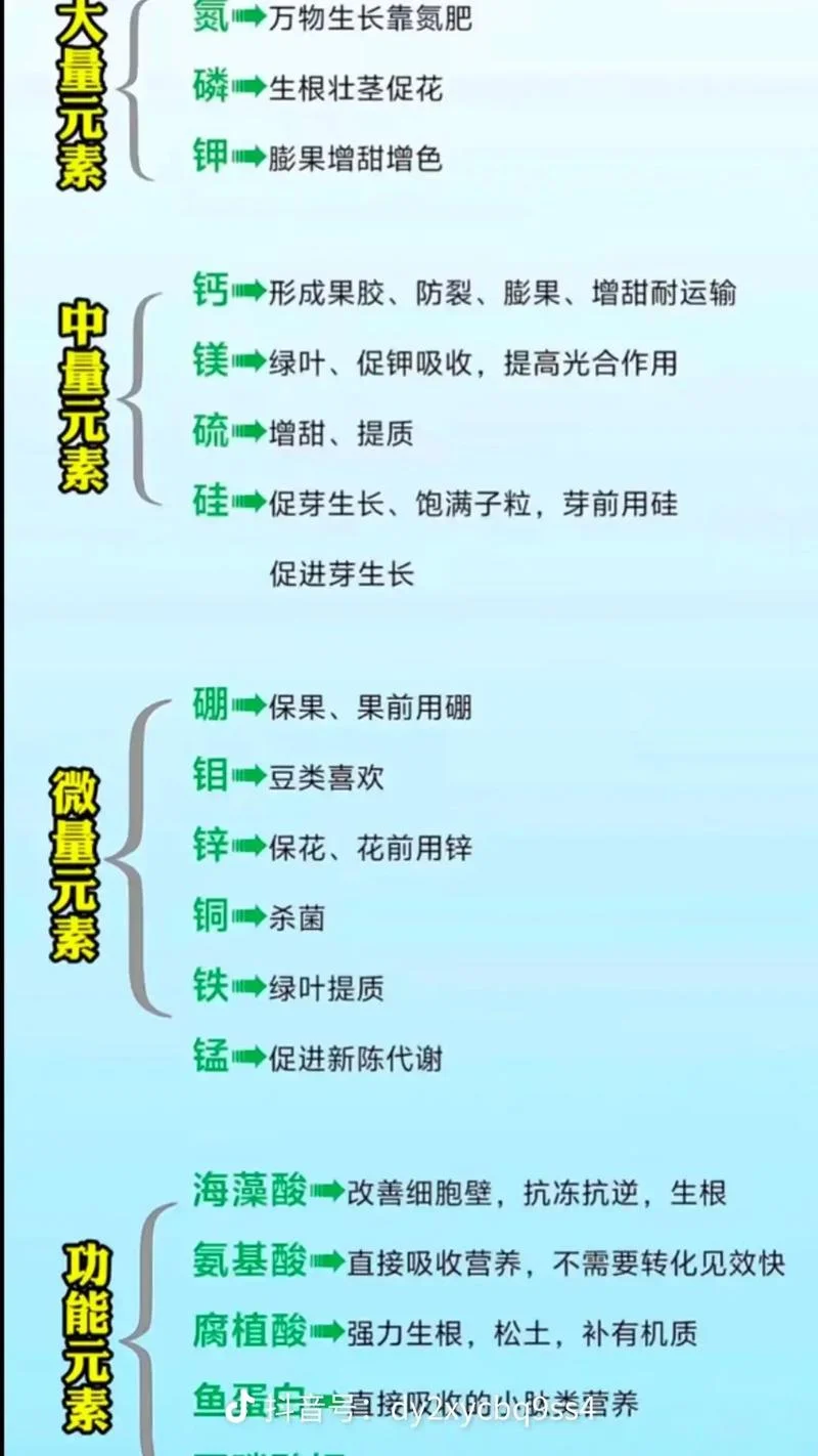 微量元素如何查_1