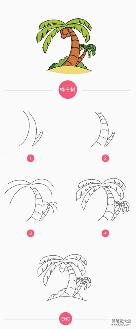 椰子树的简笔画彩色_2