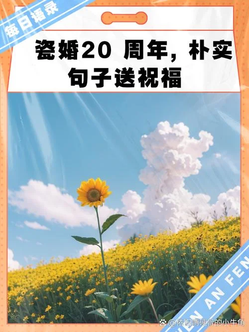 20年是什么婚送啥好_1