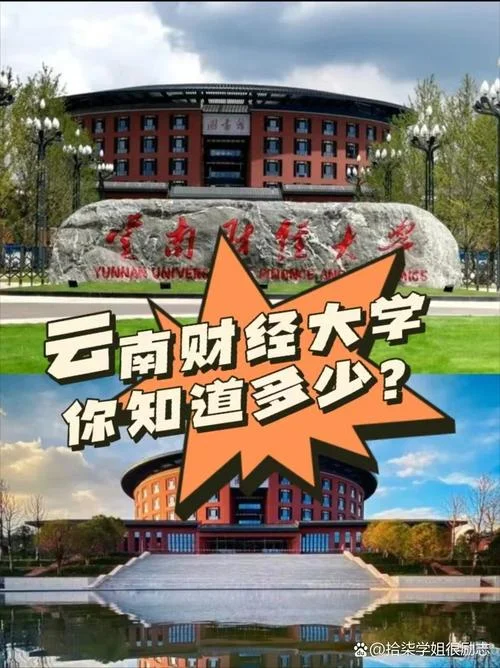 云南财经大学研究生成绩查询_1
