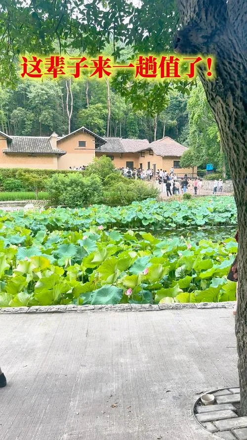 湖南省韶山旅游景点-湖南韶山旅游景点