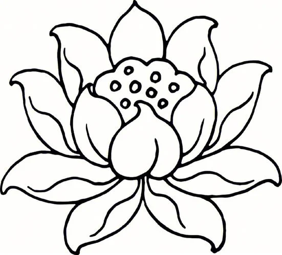 传统纹饰简笔画_1