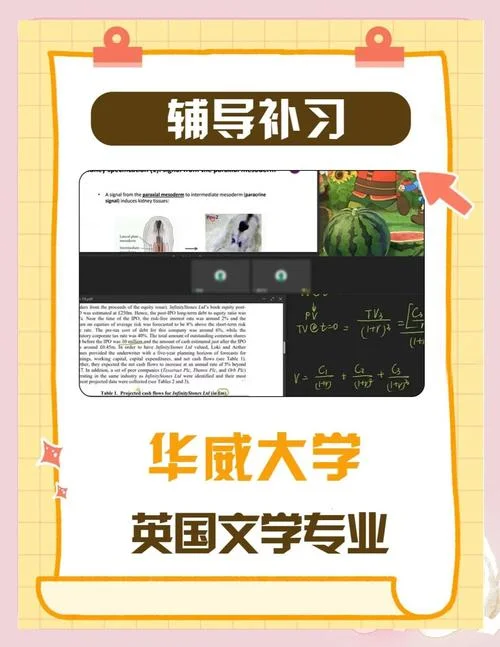 什么是留学生文学?-