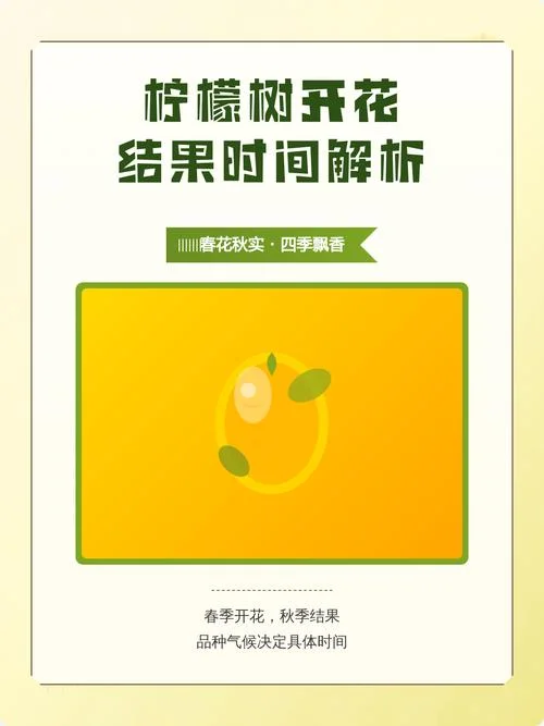 柠檬几月结果-柠檬结果几个月