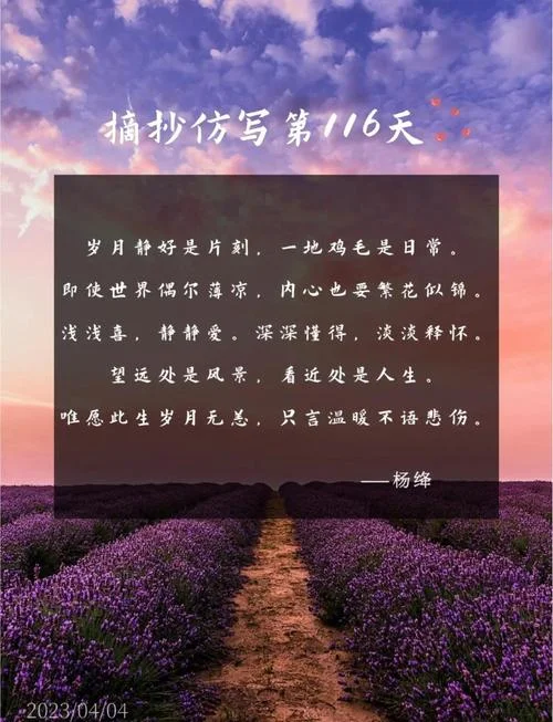 摘抄加仿写加出处_1