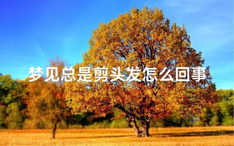 梦见我帮别人剪头发_2