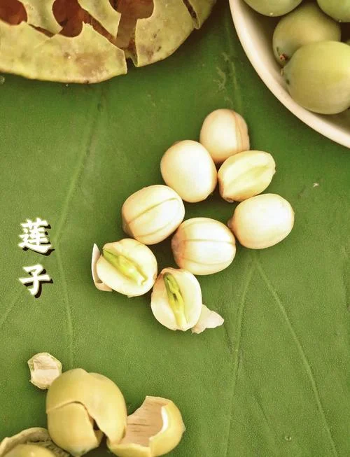 梦见莲子-梦见莲子的梦境解析