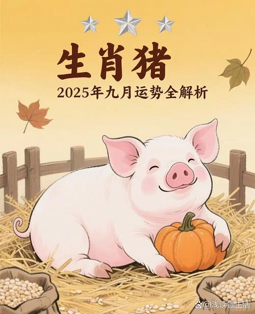 属猪2017年9月运势及运程_2
