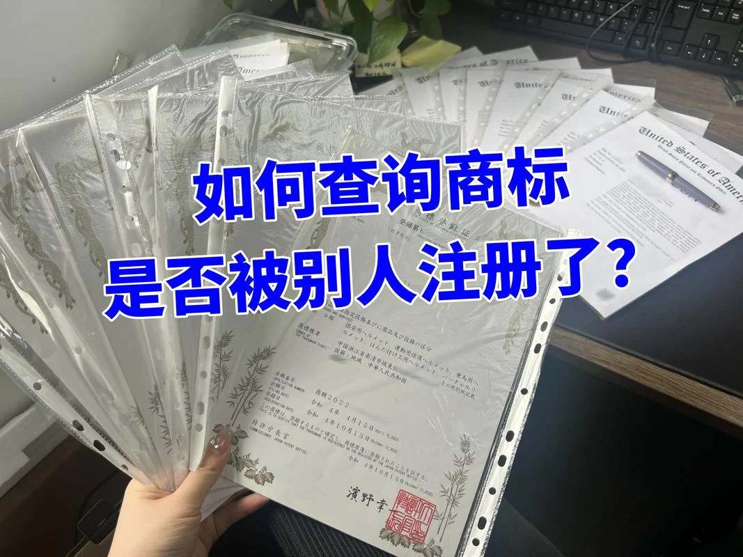 如何查名下是否有注册的公司_2