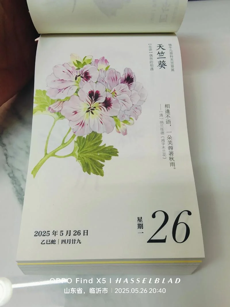 喜欢胜过一切道理-喜欢胜过所有道理