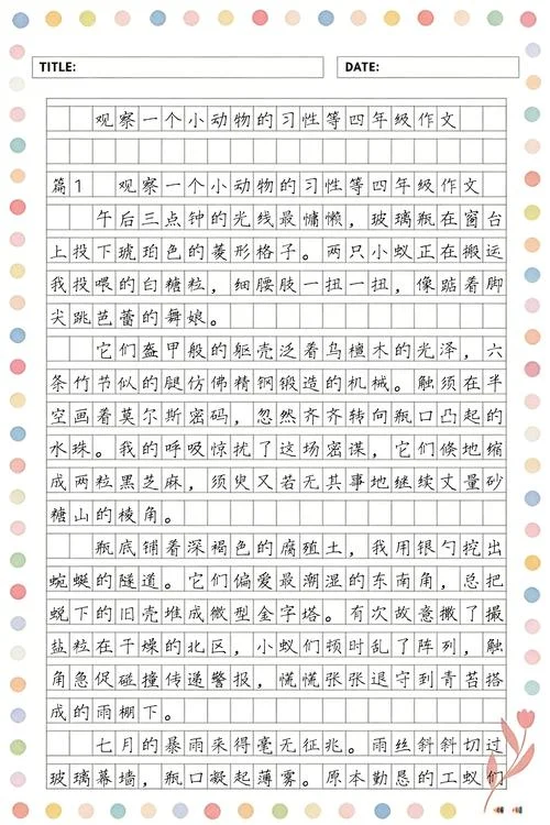 写一篇观察小动物的作文-观察小动物作文