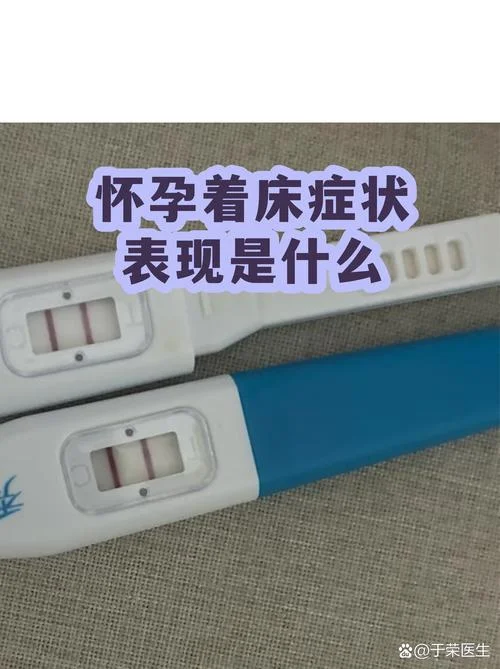 受精卵着床是什么意思_2