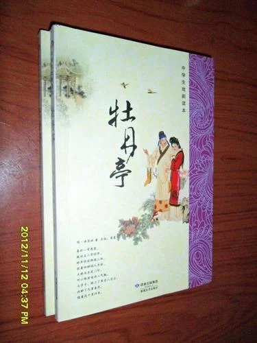 牡丹亭作者简介_2