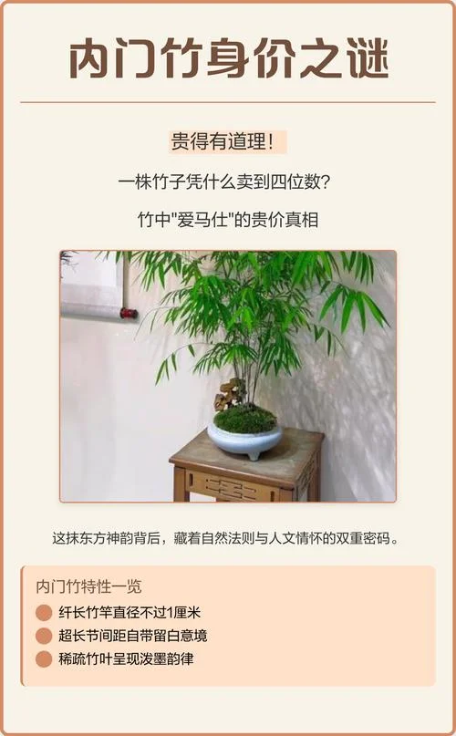 贵有贵的道理_1