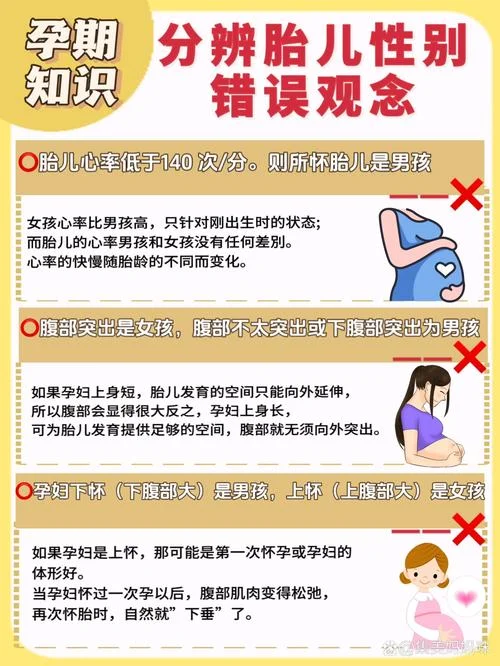 如何查男宝女宝_1