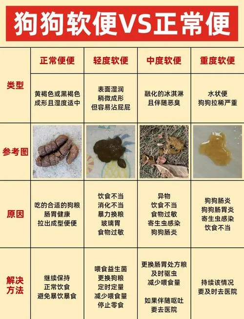 梦到狗屎是什么意思啊_1