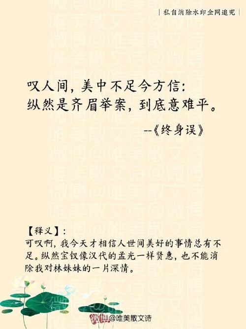 弱水三千只取一瓢感悟_1