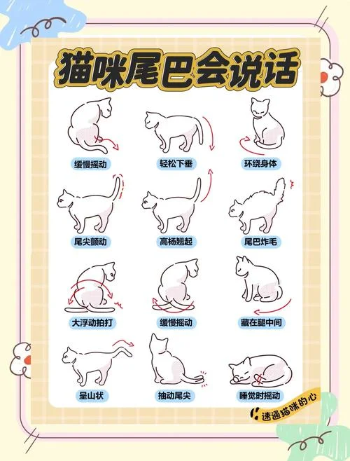 扯猫尾 出处_1