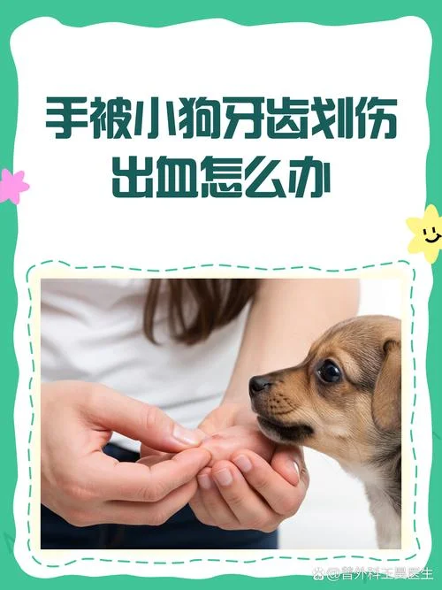 梦见宠物狗咬手指_2