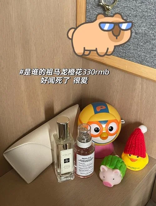 去济州岛买什么便宜_1
