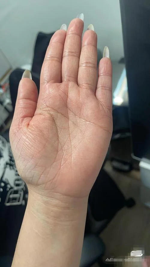 转运的手相-手掌转运纹