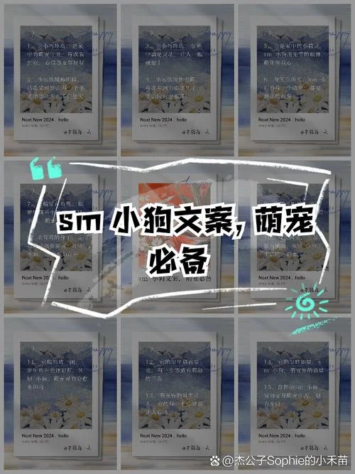 宠物文案怎么写_1