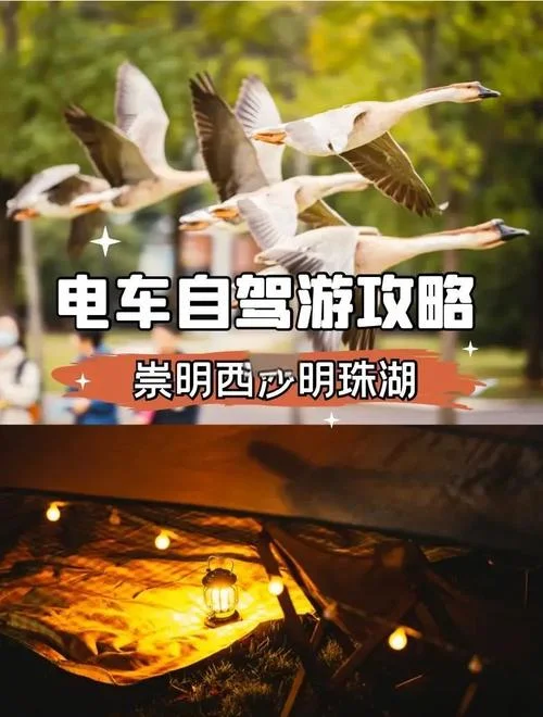 崇明自驾一日游攻略_1