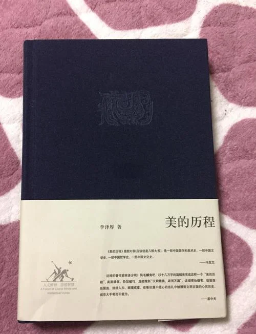 美的历程读后感500字_1
