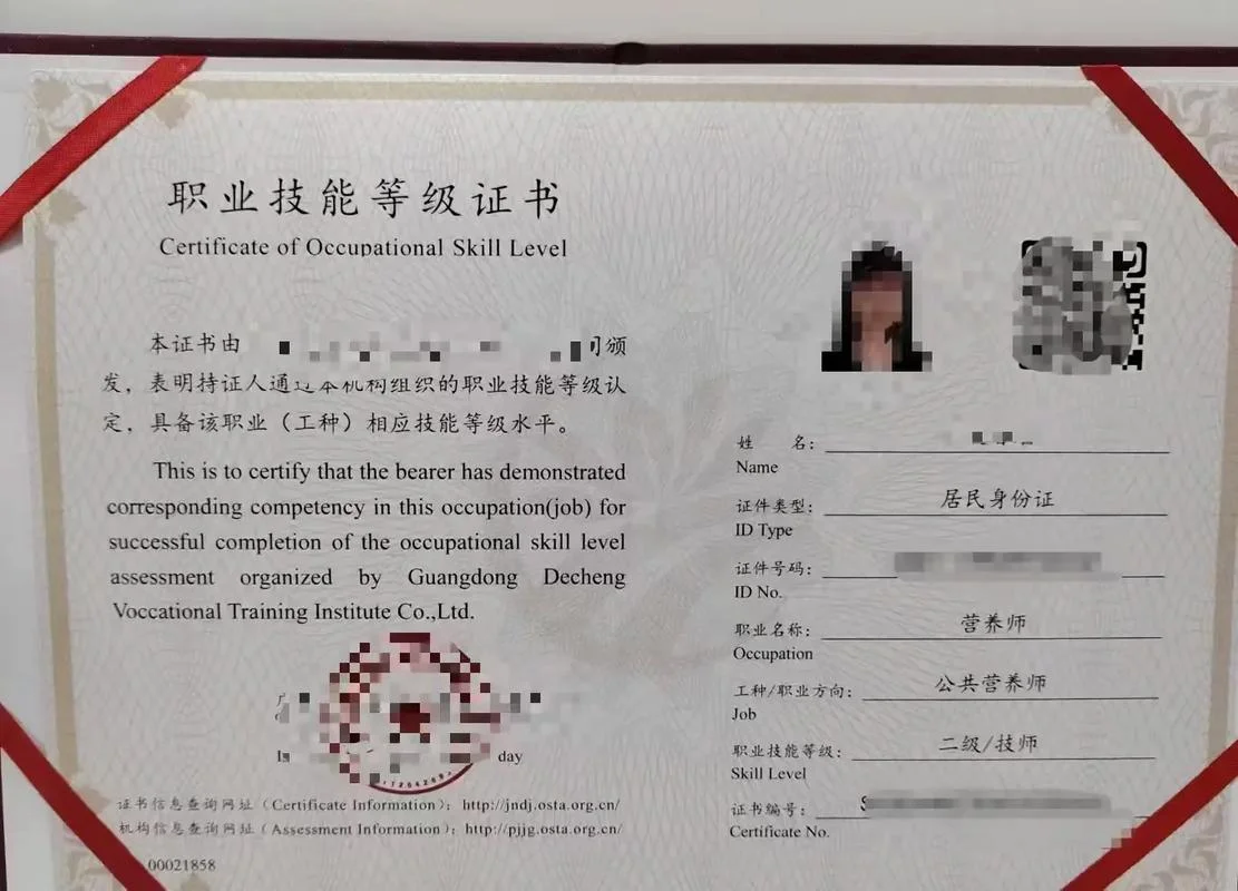 能力证书查询官网_1