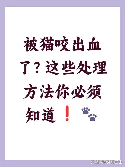 梦到自己被猫咬了是什么意思-梦被猫咬含义