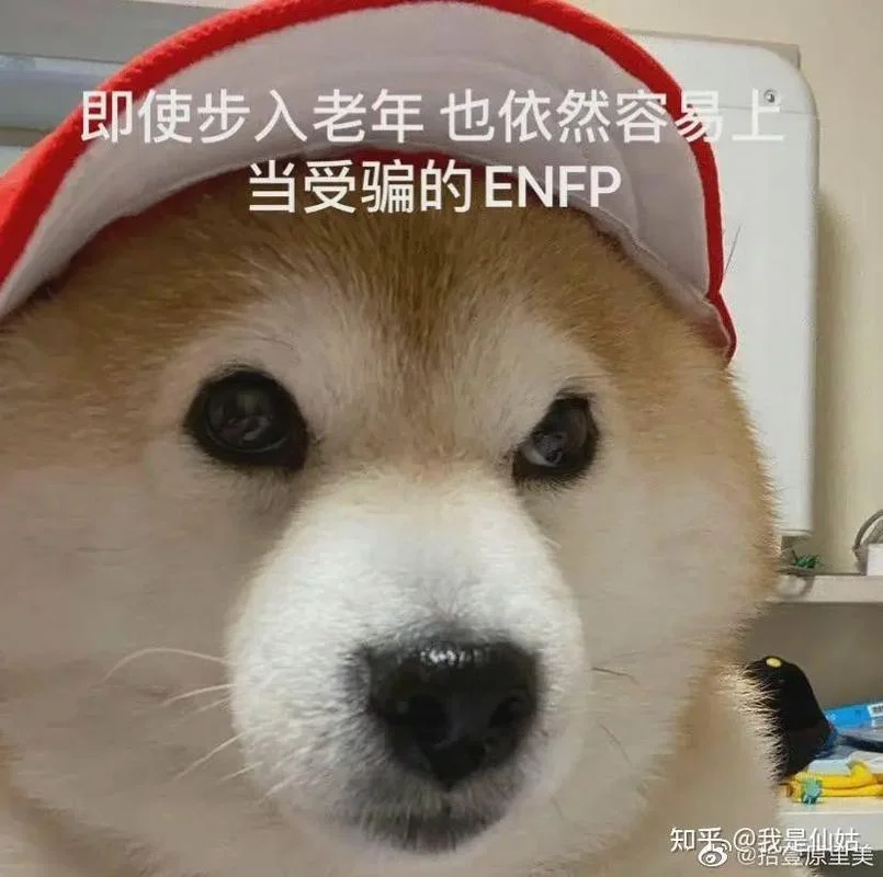 被骗也要做梦-被骗亦需怀揣梦想