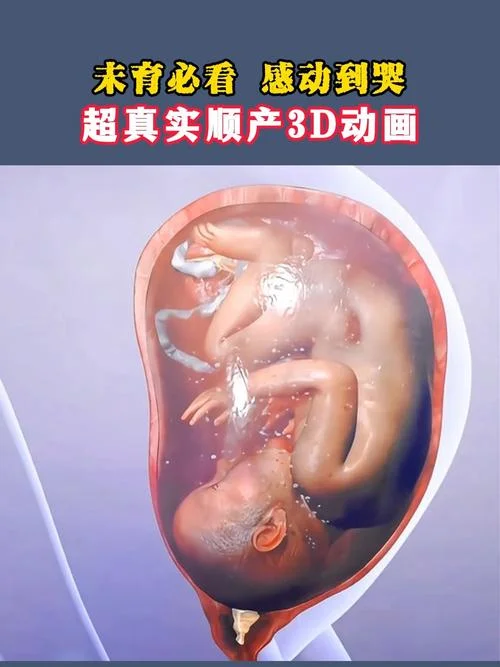 孕妇梦见别人顺产孩子-孕妇梦他人顺产
